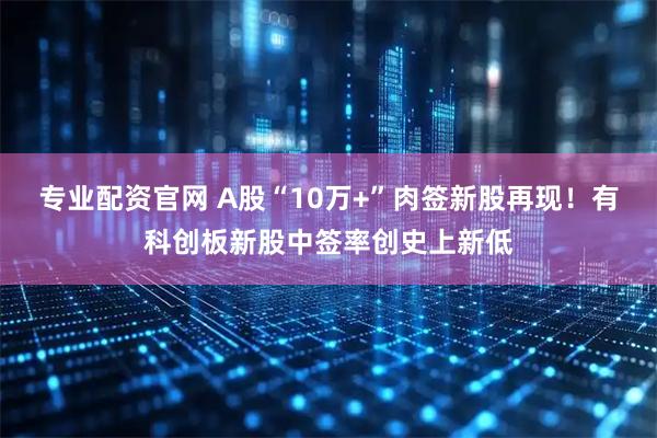 专业配资官网 A股“10万+”肉签新股再现！有科创板新股中签率创史上新低
